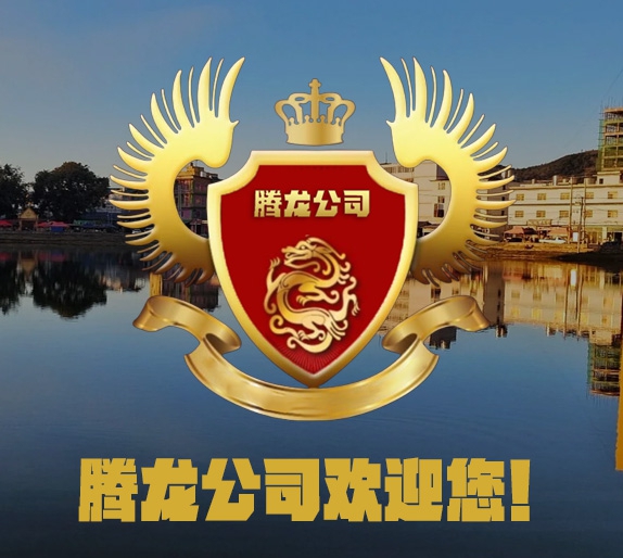 关于腾龙图片
